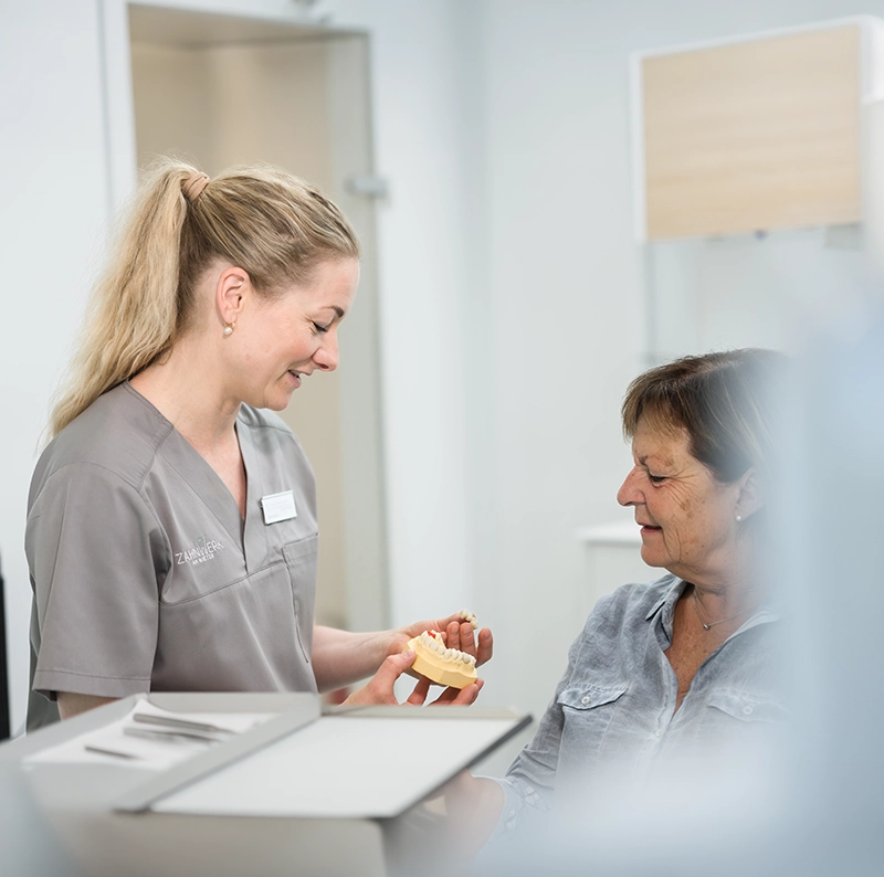 Zahnärztin zeigt Patientin an Zahnmodell wie Implantate funktionieren.
